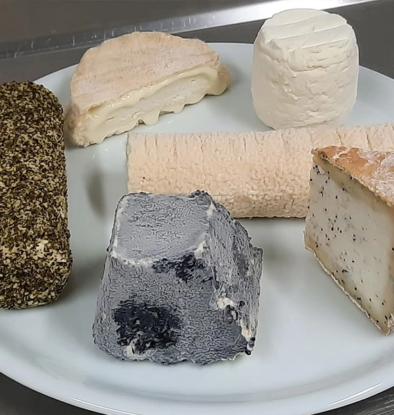 produits laitiers bio de chèvre à Saint-Père-en-Retz (44)